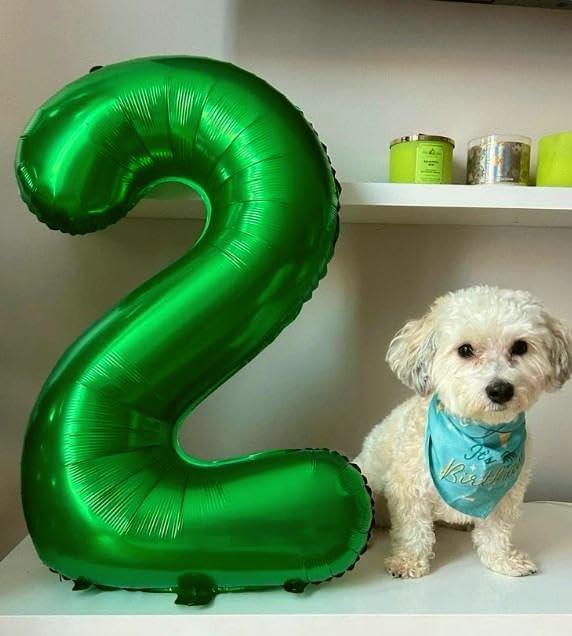 Green Foil Number 28 82 Balloon 40 Inch, Helium Mylar 28 82 Numbers Birthday Balloons, 28 82 green Women Men Anniversary Graduations Party Supplies