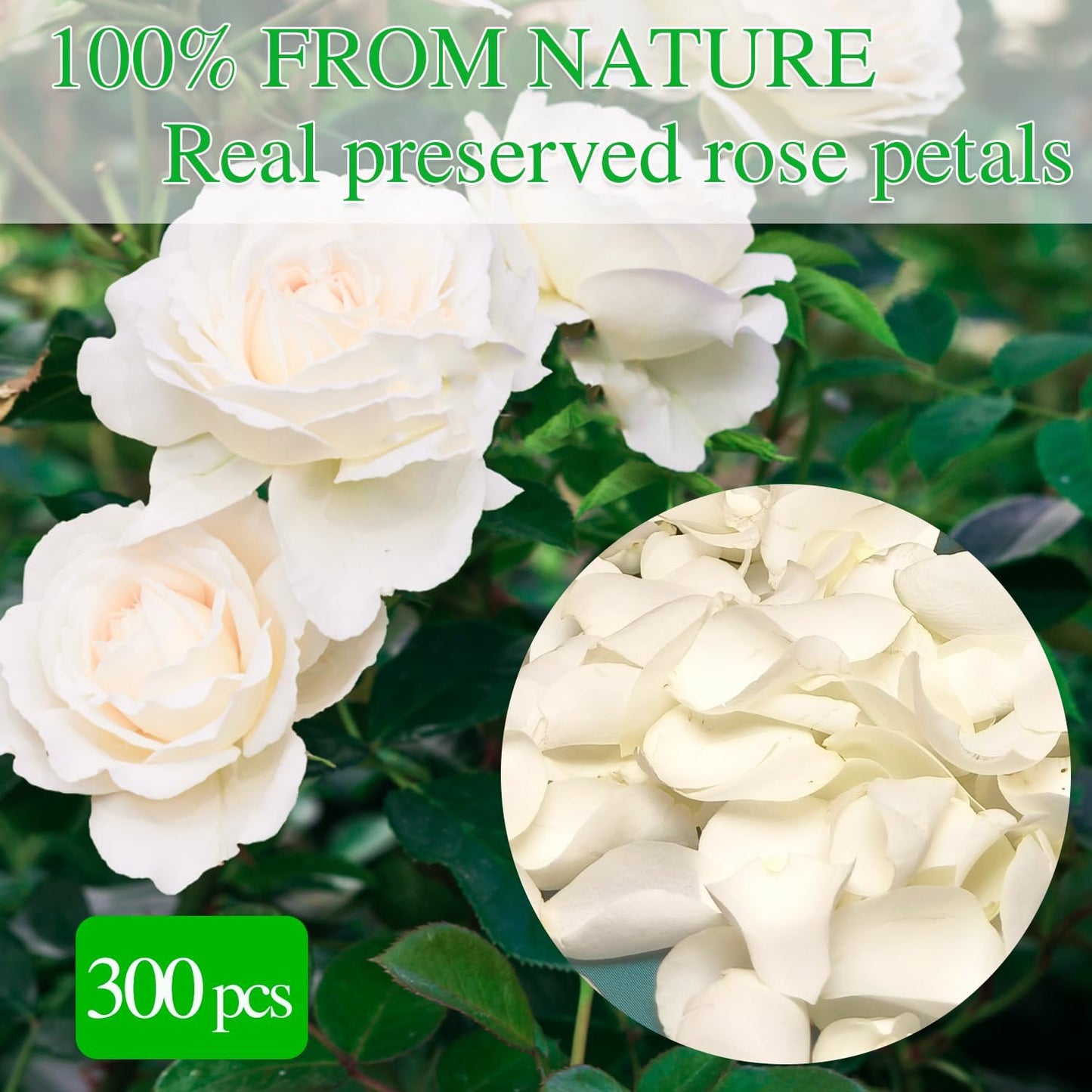 Dried Real White Rose Petals, Freeze Preserved Flower Petals 2.8 oz for Valentine's Day Gifts Wedding Party Decor, Flower Girl, Dinner Table Centerpieces, Bridal Shower, Flower Confetti 80g