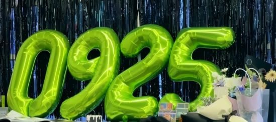 Large Light Green 40 Inch Birthday Number 5 Balloon, Light Green Five 5th 15 25 35 50 55 Birthday Anniversary Celebration Decorations, Foil Mylar Helium Numbers 5 Balloons Girl Boy Party Supplies