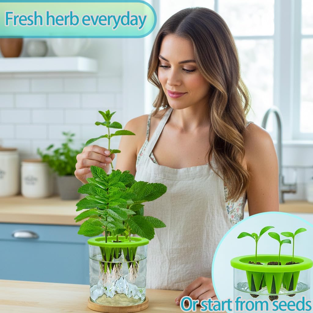 Versatile Plant Propagation Station Vase Hydroponic Planter Pot,Glass Plant Terrarium Kit,Fresh Indoor Herb Garden Kit| Christmas Birthday Gift for Gardener Women Mom Garden Lover | Home Office Decor