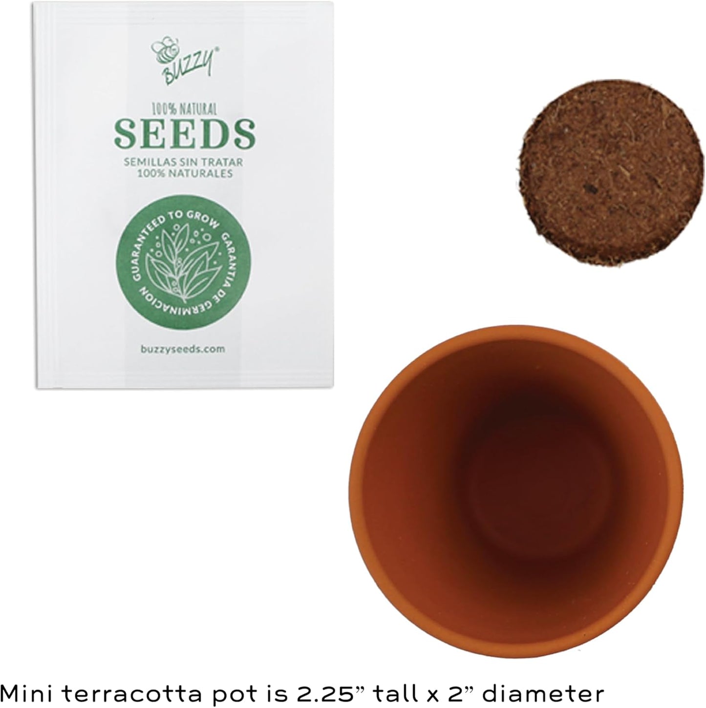 BUZZY Seeds Mini Terracotta Pots 12-Pack Daydream Forget-Me-Not Flowers, All-in-One Seed Starter Kit for Kids and Adults, Indoor Outdoor Gardening Gift, Wedding Favors, Seeds for Planting Flowers