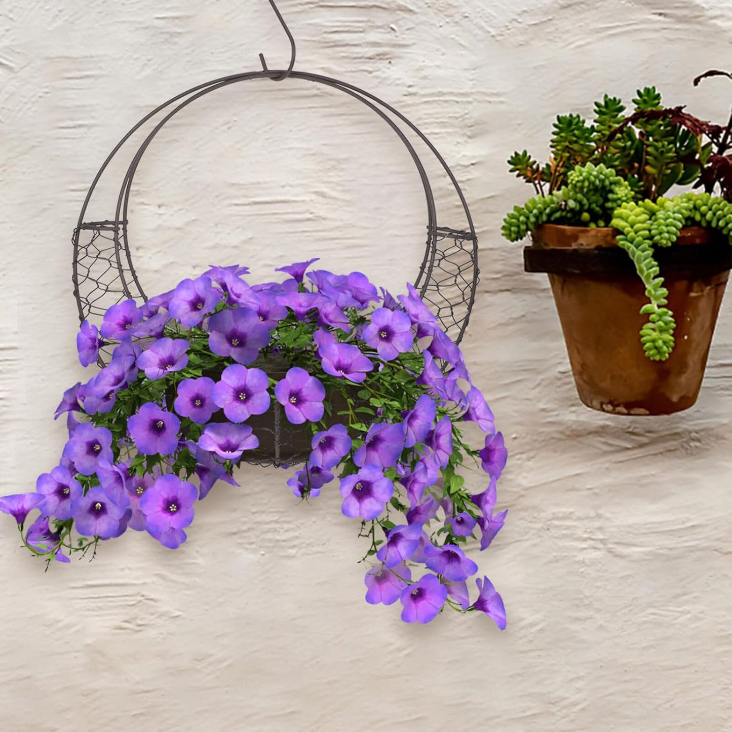 Air Plants Holders Wire Wreath Frame Hanger, 11 inch Moon Shape Wreath Form Hanging Plant Holder Metal Hanging Orchid Planter Plant Basket Holder, Succulent Wire Wreath Frame with Hook