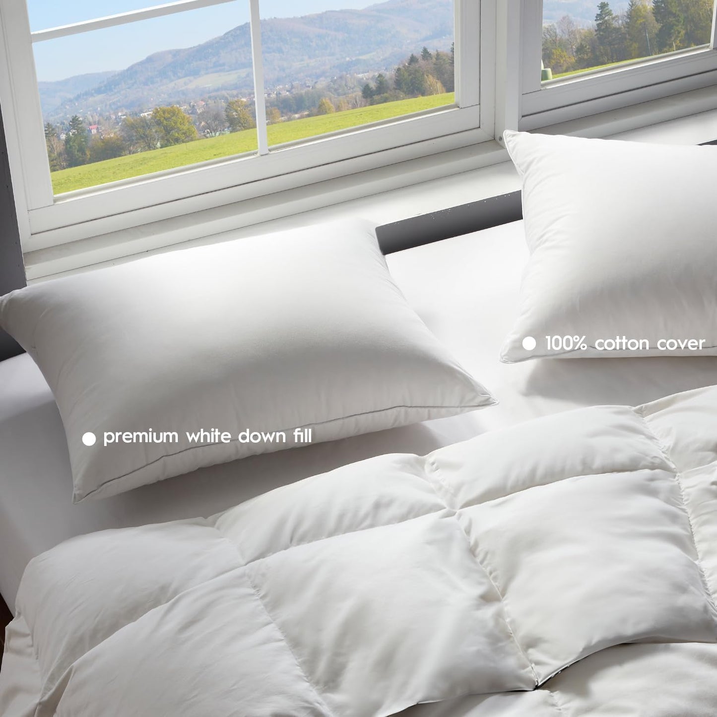 Globon Ultra Soft Down Pillow Queen Size, All Down Filled Bed Pillow for Sleeping, 100% Cotton Shell 500 Thread Count, Soft Hotel Collection Down Feather Pillow 20" x 30" 1 Pack