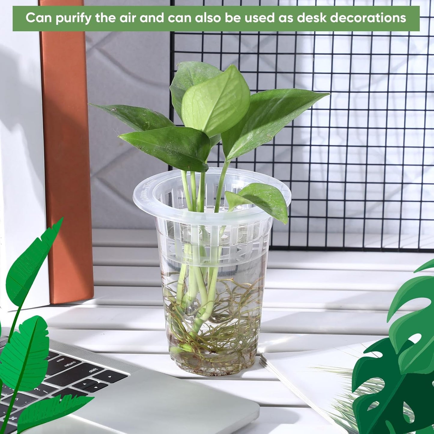 Baderke 35 Pack Plastic Plant Propagation Station Desktop Terrariums Plant Tabletop Vase with Hydroponic Baskets for Indoor Home Office Desktop Decor (4.57'')