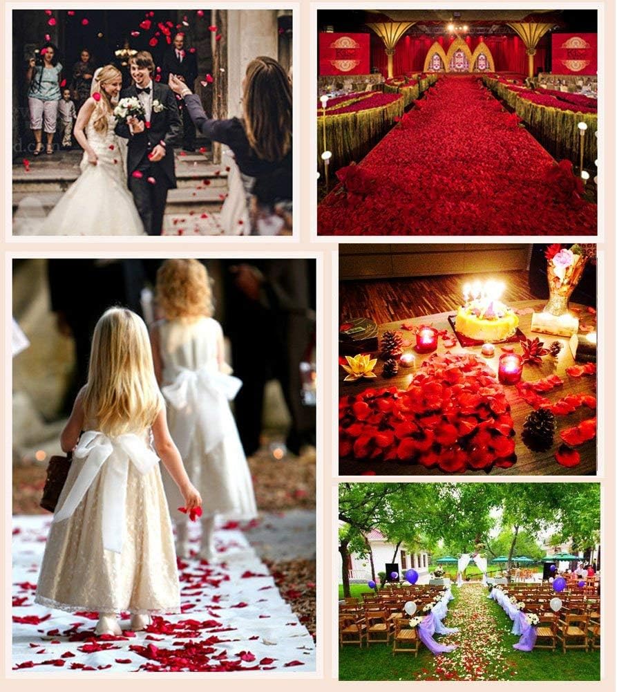 ocharzy 1000 PCS Rose Petals Fake Rose Petals for Romantic Night, Wedding Flower Decoration, Party, Events (Light Pink)
