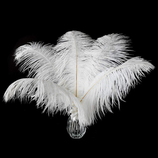 Ballinger Large White Ostrich Feathers - 24Pcs 12-14inch Large Feathers for Vase,Party Centerpieces,Wedding and Home Decor