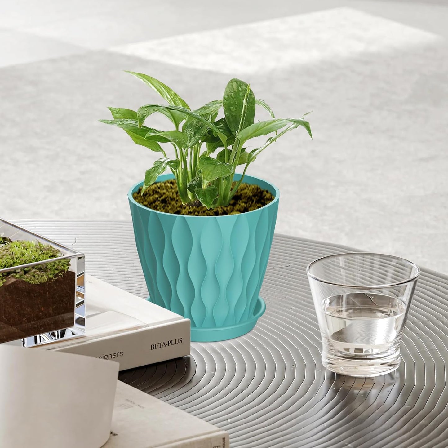 6 Pack 4 Inch Small Plant Pots with Saucers, Waffle Texture Plastic Planters with Drainage Holes for Indoor and Outdoor Plants, Flowers, Herbs, Succulents, and Seedlings, Blue
