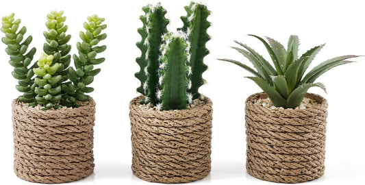 3-Pack Artificial Succulent Plants in Vintage Plastic Pots - Fake Waterproof Succulents Decor for Home, Office, Desk, Shelf - Low Maintenance Indoor Greenery for Bathroom, Living Room, Table Decor