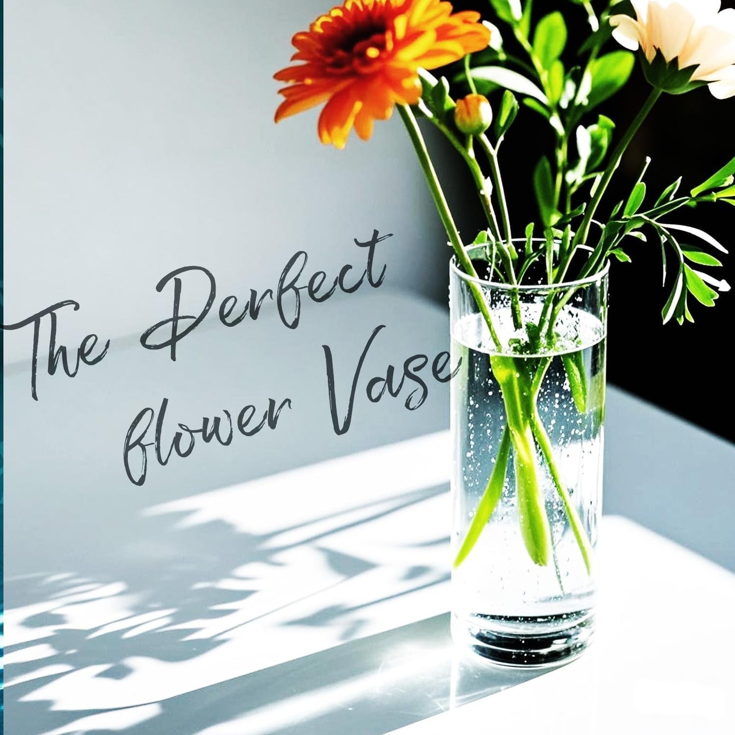 72pcs Glass Vase Cylinder Vases for Centerpieces Small Flower Glass Vases Home Decor Centerpiece Table Clear Flower Vase Decorations for Wedding＆Holiday 4,6,7.5,8,8,10 Inch Tall