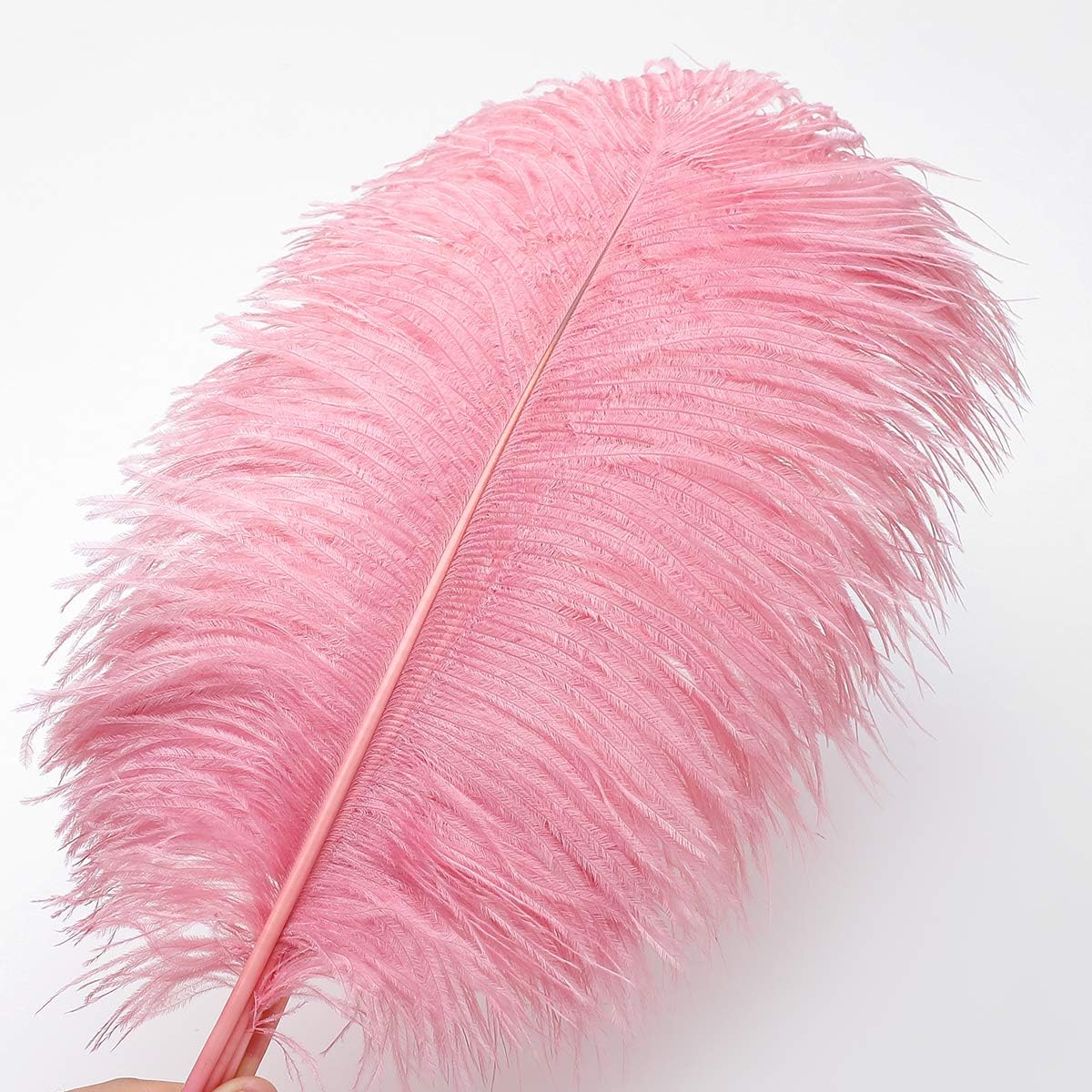 24pcs Natural Lotus Pink Ostrich Feathers 10-12inch (25-30cm) for Wedding Party Centerpieces，Flower Arrangement and Home Decoration.