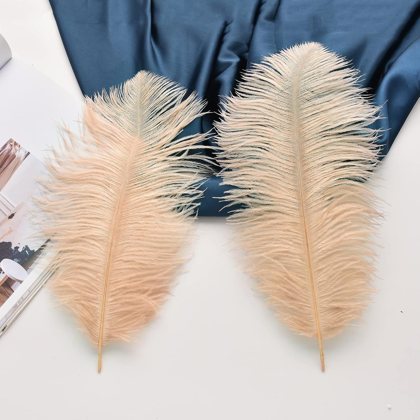 Ballinger Large Champagne Ostrich Feathers - 24pcs 8-10inch Boho Feathers for vase and Home Decor Wedding Party Centerpieces